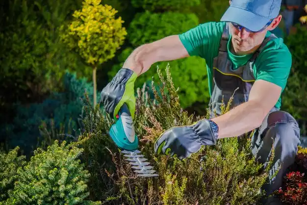 landscaping services Brethren